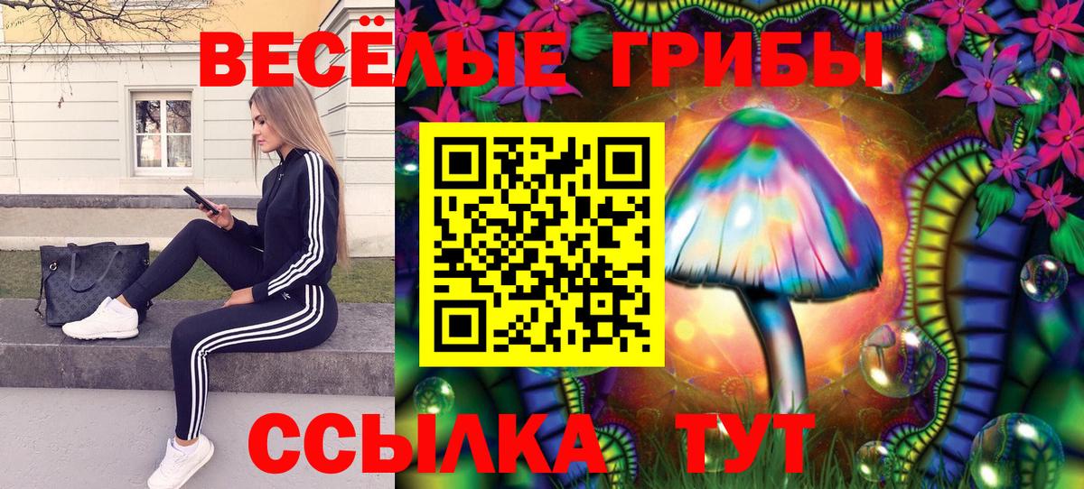 Псилоцибиновые грибы мухоморы Волгоград