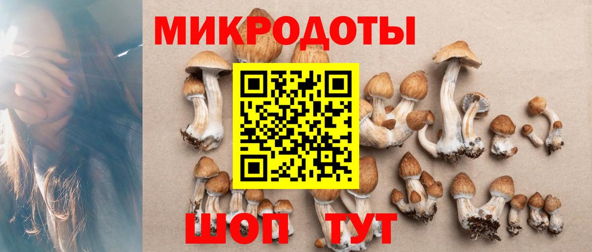 Псилоцибиновые грибы прущие грибы  Вход с VPN  Волгоград 